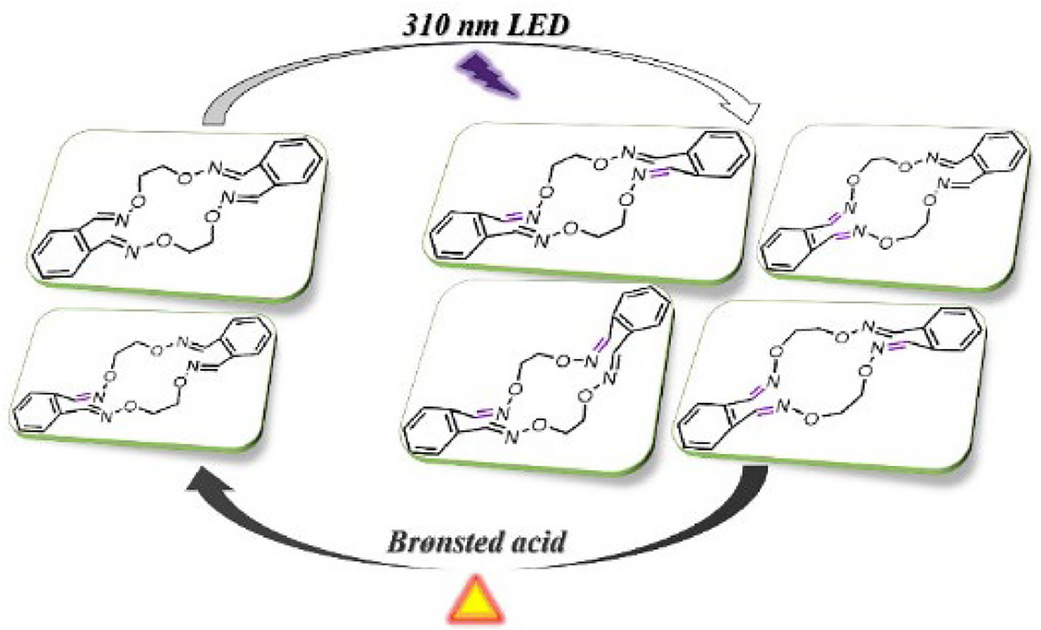 148.Crown aldoxime ethers: Their synthesis, structure, acid-catalyzed/photo-induced isomerization and adjustable guest binding